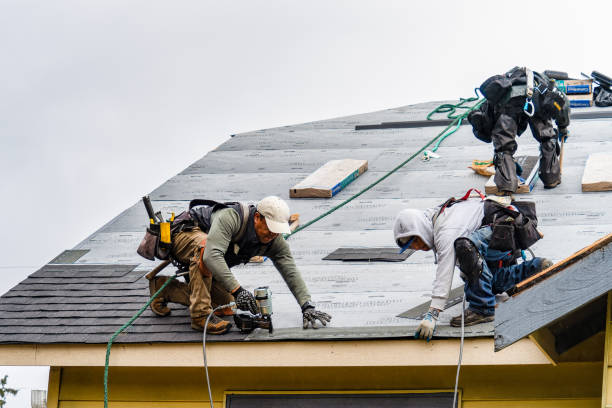 Professional Roof Inspection technician working in Dryden, NY